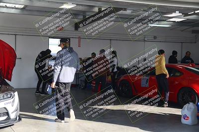 media/Nov-11-2023-GTA Finals Buttonwillow (Sat) [[117180e161]]/Around the Pits/